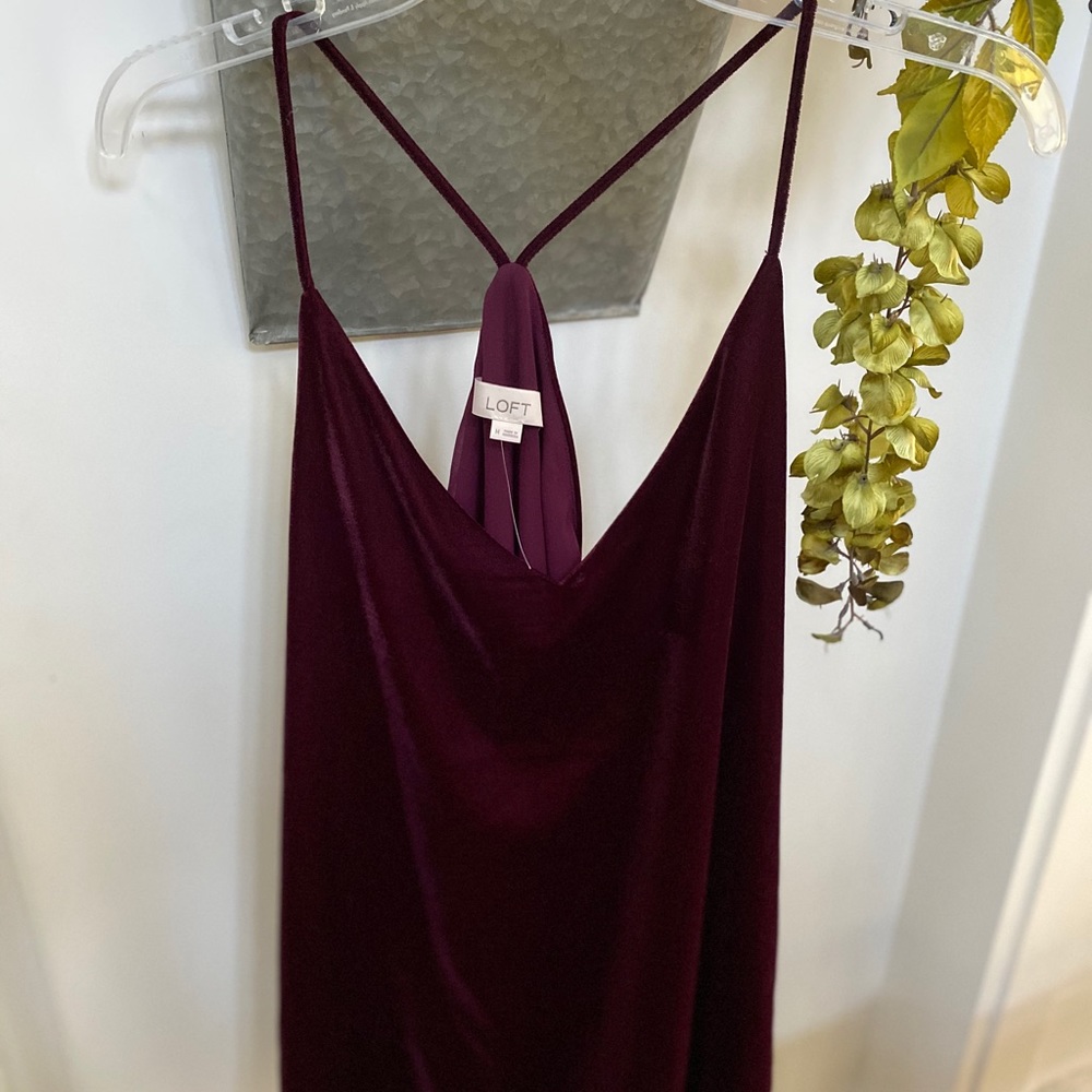 Loft velvet camisole